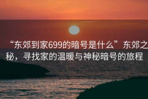 “東郊到家699的暗號(hào)是什么”東郊之秘，尋找家的溫暖與神秘暗號(hào)的旅程