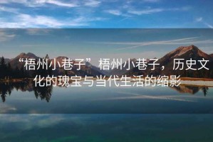 “梧州小巷子”梧州小巷子，歷史文化的瑰寶與當代生活的縮影