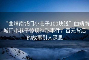 “曲靖南城門(mén)小巷子100塊錢(qián)”曲靖南城門(mén)小巷子驚現(xiàn)神秘事件，百元背后的故事引人深思