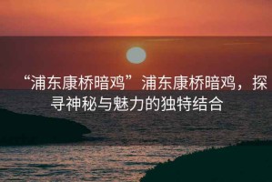 “浦東康橋暗雞”浦東康橋暗雞，探尋神秘與魅力的獨特結合