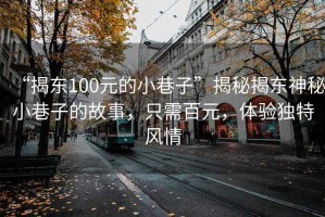 “揭東100元的小巷子”揭秘揭東神秘小巷子的故事，只需百元，體驗(yàn)獨(dú)特風(fēng)情
