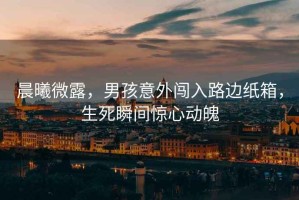 晨曦微露，男孩意外闖入路邊紙箱，生死瞬間驚心動(dòng)魄