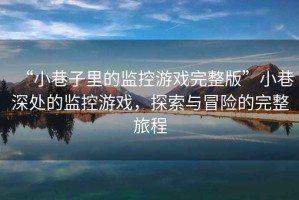 “小巷子里的監(jiān)控游戲完整版”小巷深處的監(jiān)控游戲，探索與冒險(xiǎn)的完整旅程