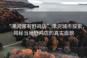 “漯河哪有野雞店”漯河城市探索，揭秘當?shù)匾半u店的真實面貌