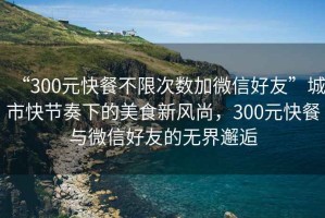 “300元快餐不限次數(shù)加微信好友”城市快節(jié)奏下的美食新風(fēng)尚，300元快餐與微信好友的無界邂逅