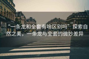 “一條龍和全套有啥區(qū)別嗎”探索自然之美，一條龍與全套的微妙差異