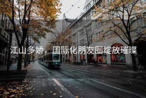 江山多嬌，國際化朋友圈綻放璀璨