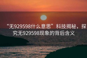 “無929598什么意思”科技揭秘，探究無929598現(xiàn)象的背后含義