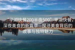 “平湖快餐200半夜500”平湖快餐，深夜美食的新篇章—探尋美食背后的故事與獨特魅力