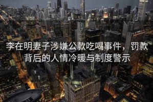 李在明妻子涉嫌公款吃喝事件，罰款背后的人情冷暖與制度警示