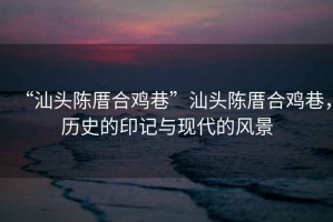 “汕頭陳厝合雞巷”汕頭陳厝合雞巷，歷史的印記與現(xiàn)代的風(fēng)景