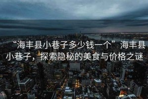 “海豐縣小巷子多少錢一個”海豐縣小巷子，探索隱秘的美食與價格之謎