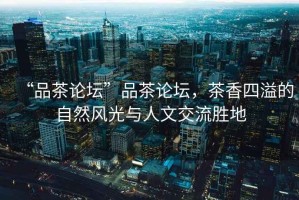 “品茶論壇”品茶論壇，茶香四溢的自然風(fēng)光與人文交流勝地