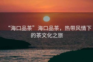 “海口品茶”?？谄凡瑁瑹釒эL(fēng)情下的茶文化之旅