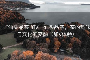 “汕頭品茶 加V”汕頭品茶，茶的韻味與文化的交融（加V體驗）