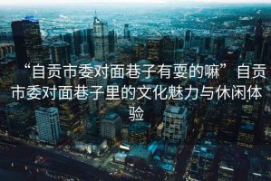 “自貢市委對面巷子有耍的嘛”自貢市委對面巷子里的文化魅力與休閑體驗
