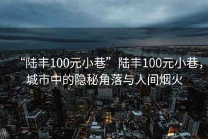 “陸豐100元小巷”陸豐100元小巷，城市中的隱秘角落與人間煙火
