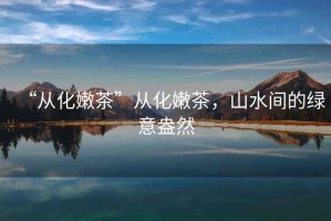 “從化嫩茶”從化嫩茶，山水間的綠意盎然