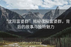 “沈陽富婆群”揭秘沈陽富婆群，背后的故事與獨特魅力