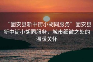 “固安縣新中街小胡同服務(wù)”固安縣新中街小胡同服務(wù)，城市細(xì)微之處的溫暖關(guān)懷