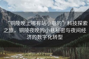 “銅陵晚上哪有站小巷的”科技探索之旅，銅陵夜晚的小巷秘密與夜間經(jīng)濟(jì)的數(shù)字化轉(zhuǎn)型