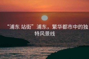 “浦東 站街”浦東，繁華都市中的獨(dú)特風(fēng)景線