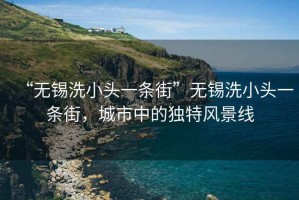 “無錫洗小頭一條街”無錫洗小頭一條街，城市中的獨特風景線