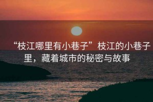 “枝江哪里有小巷子”枝江的小巷子里，藏著城市的秘密與故事