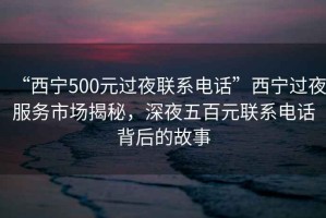 “西寧500元過(guò)夜聯(lián)系電話”西寧過(guò)夜服務(wù)市場(chǎng)揭秘，深夜五百元聯(lián)系電話背后的故事