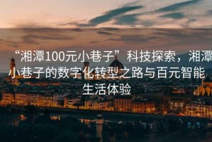 “湘潭100元小巷子”科技探索，湘潭小巷子的數(shù)字化轉(zhuǎn)型之路與百元智能生活體驗(yàn)