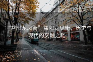“益陽龍鳳街”益陽龍鳳街，歷史與現(xiàn)代的交融之地