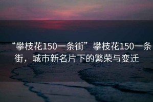 “攀枝花150一條街”攀枝花150一條街，城市新名片下的繁榮與變遷