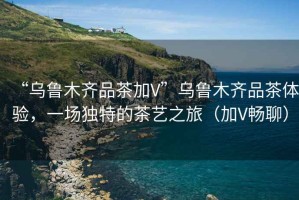 “烏魯木齊品茶加V”烏魯木齊品茶體驗(yàn)，一場(chǎng)獨(dú)特的茶藝之旅（加V暢聊）
