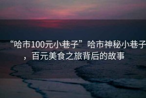 “哈市100元小巷子”哈市神秘小巷子，百元美食之旅背后的故事