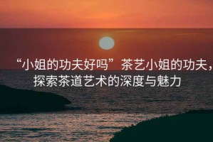 “小姐的功夫好嗎”茶藝小姐的功夫，探索茶道藝術(shù)的深度與魅力