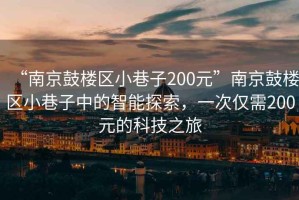 “南京鼓樓區(qū)小巷子200元”南京鼓樓區(qū)小巷子中的智能探索，一次僅需200元的科技之旅