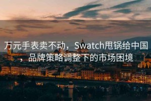 萬元手表賣不動，Swatch甩鍋給中國，品牌策略調(diào)整下的市場困境