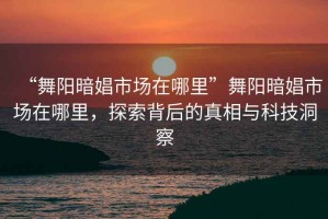 “舞陽(yáng)暗娼市場(chǎng)在哪里”舞陽(yáng)暗娼市場(chǎng)在哪里，探索背后的真相與科技洞察