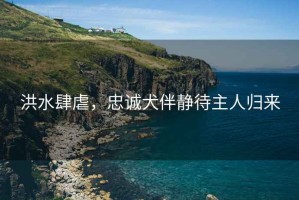 洪水肆虐，忠誠(chéng)犬伴靜待主人歸來
