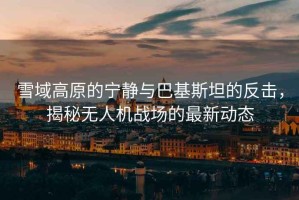 雪域高原的寧靜與巴基斯坦的反擊，揭秘?zé)o人機戰(zhàn)場的最新動態(tài)
