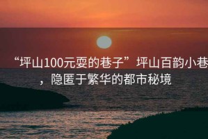 “坪山100元耍的巷子”坪山百韻小巷，隱匿于繁華的都市秘境