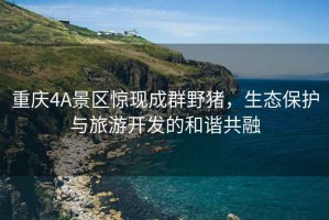 重慶4A景區(qū)驚現(xiàn)成群野豬，生態(tài)保護(hù)與旅游開(kāi)發(fā)的和諧共融