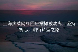 上海賣(mài)菜網(wǎng)紅回應(yīng)擺攤被勸離，堅(jiān)持初心，期待轉(zhuǎn)型之路