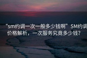 “sm約調(diào)一次一般多少錢啊”SM約調(diào)價格解析，一次服務(wù)究竟多少錢？