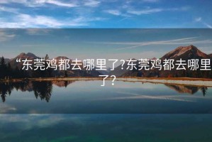 “東莞雞都去哪里了?東莞雞都去哪里了？