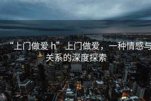 “上門做愛 h”上門做愛，一種情感與關(guān)系的深度探索
