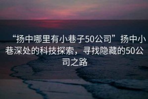 “揚中哪里有小巷子50公司”揚中小巷深處的科技探索，尋找隱藏的50公司之路