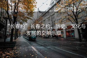 “長春約”長春之約，歷史、文化與發(fā)展的交響樂章