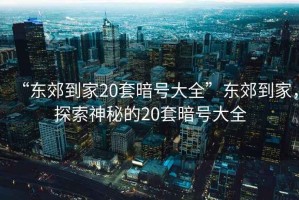 “東郊到家20套暗號大全”東郊到家，探索神秘的20套暗號大全