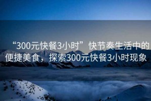 “300元快餐3小時”快節(jié)奏生活中的便捷美食，探索300元快餐3小時現象